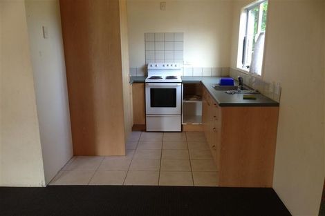 Photo of property in 123 Finlayson Avenue, Clendon Park, Auckland, 2103