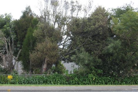 Photo of property in 326 Tiki Road, Coromandel, 3506