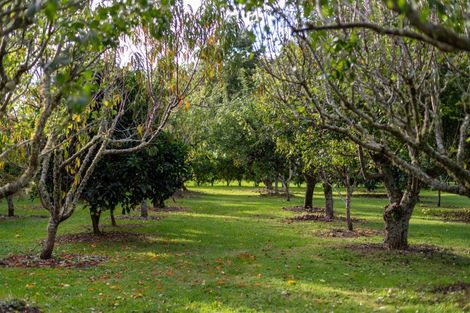 Photo of property in 34 Quinns Road, Clevedon, Papakura, 2585