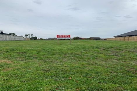 Photo of property in 51 Roy Hilton Drive, Flagstaff, Hamilton, 3210