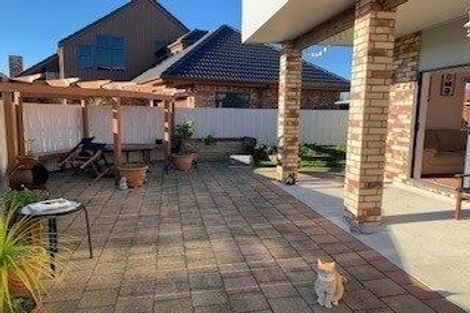 Photo of property in 19a Vine Avenue, Maungatapu, Tauranga, 3112