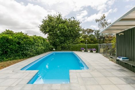 Photo of property in 43 Chambers Street, Havelock North, 4130