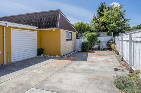Photo of property in 4/38 Mako Mako Road, Levin, 5510