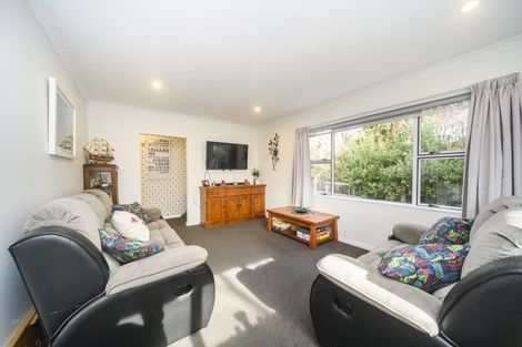 Photo of property in 9 Haggitt Street, Feilding, 4702