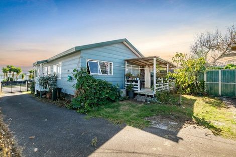 Photo of property in 31 Barneys Farm Road, Clendon Park, Auckland, 2103
