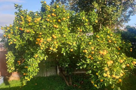 Photo of property in 32 Resolute Way, Papakura, 2110