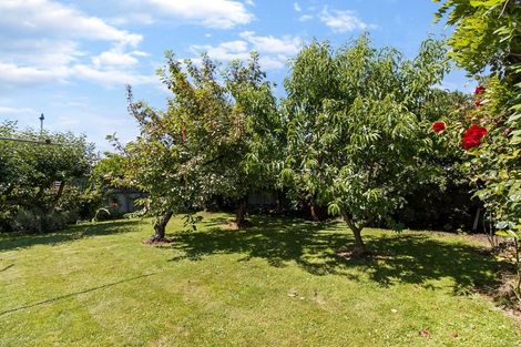 Photo of property in 36 Denmark Street, Temuka, 7920