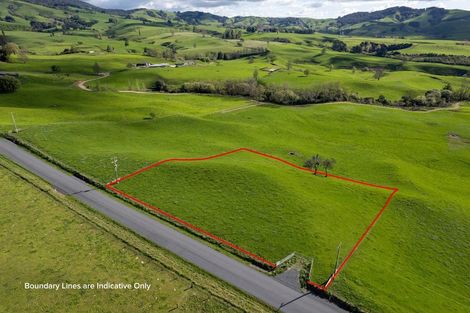 Photo of property in 82 Hicks Road, Maungatautari, Cambridge, 3494