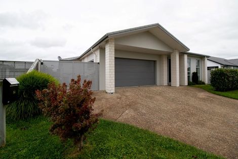 Photo of property in 64 Penetaka Heights, Pyes Pa, Tauranga, 3112