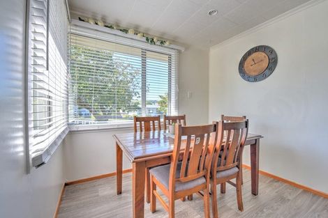 Photo of property in 52 Wentworth Street, East Gore, Gore, 9710