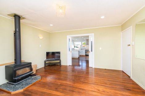 Photo of property in 17 Mcclure Street, Feilding, 4702