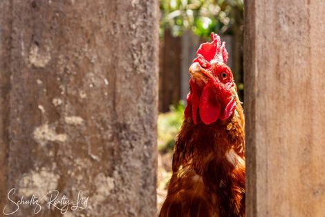 Photo of property in 96 Atkin Road, Mangawhai, Kaiwaka, 0573