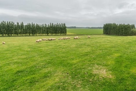 Photo of property in 444a O'shannessy Road, Lochiel, Winton, 9781