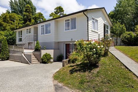 Photo of property in 17 Amethyst Place, Chartwell, Hamilton, 3210