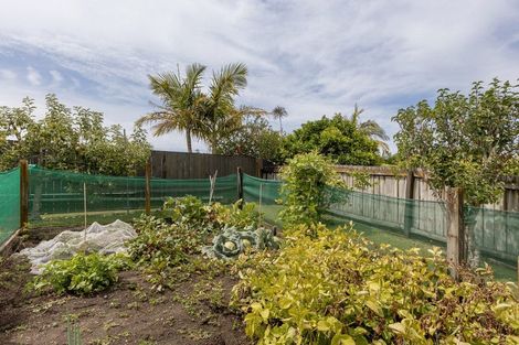 Photo of property in 17 Glenfield Place, Brookfield, Tauranga, 3110