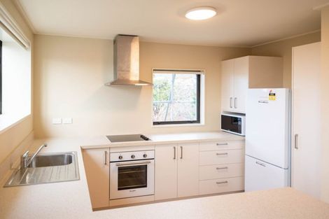 Photo of property in 44 Argyle Street, Mornington, Dunedin, 9011