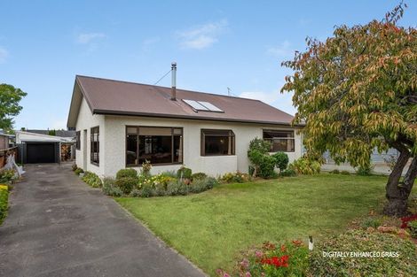 Photo of property in 25 Henry Street, Blenheim, 7201