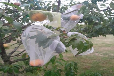 Photo of property in 897 Sandy Knolls Road, West Melton, Christchurch, 7675