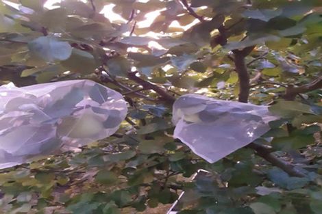 Photo of property in 897 Sandy Knolls Road, West Melton, Christchurch, 7675