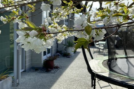 Photo of property in 7 Allison Crescent, Kaiapoi, 7630