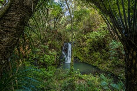 Photo of property in 363 Mill Creek Road, Kaimarama, Whitianga, 3591