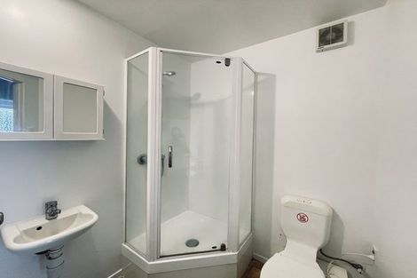 Photo of property in 12 Wellington Street, Hamilton East, Hamilton, 3216