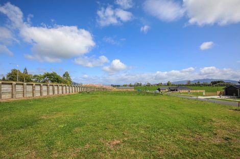 Photo of property in 470 Korimako Drive, Te Awamutu, 3800