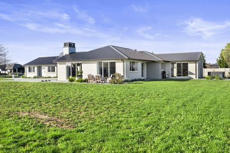 Photo of property in 30 Seachange Drive, Leamington, Cambridge, 3432