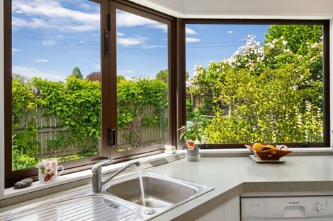 Photo of property in 8 Severne Street, Springlands, Blenheim, 7201