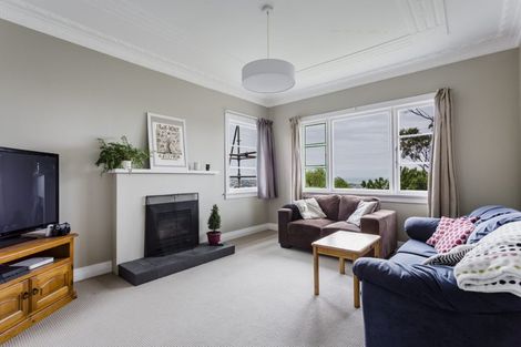 Photo of property in 131 Forfar Street, Clyde Hill, Dunedin, 9011