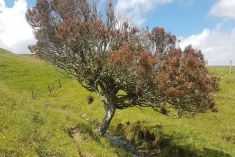 Photo of property in 610 Dover Road, Okato, New Plymouth, 4374