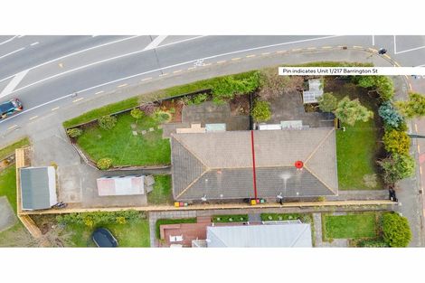 Photo of property in 1/217 Barrington Street, Somerfield, Christchurch, 8024