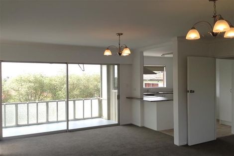Photo of property in 14 Counsel Terrace, Mount Albert, Auckland, 1025
