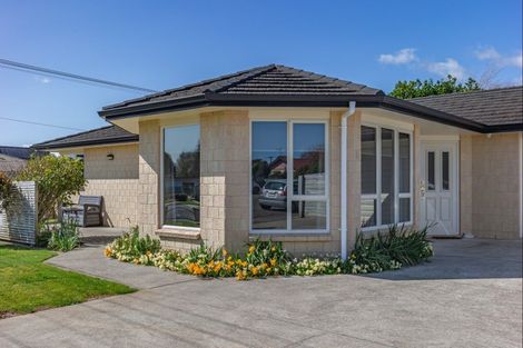 Photo of property in 180 Bath Street, Levin, 5510