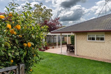 Photo of property in 21 Heritage Avenue, Chartwell, Hamilton, 3210