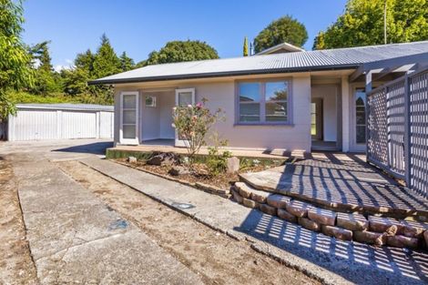 Photo of property in 141 Rickit Street, Taupo, 3330