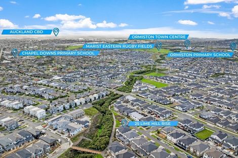 Photo of property in 25 Lime Hill Rise, Flat Bush, Auckland, 2019