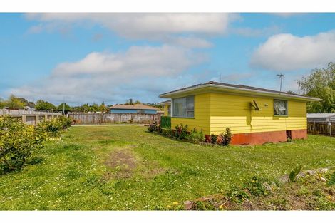 Photo of property in 67 Hindmarsh Street, Henderson, Auckland, 0612