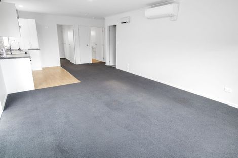 Photo of property in 11a Thomson Avenue, Dinsdale, Hamilton, 3204