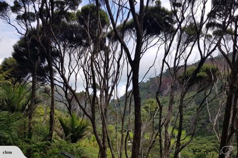 Photo of property in 77 Karekare Road, Karekare, Auckland, 0772