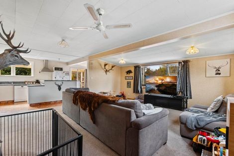 Photo of property in 9 Strode Avenue, Naseby, 9396