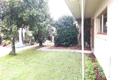 Photo of property in 7c Sixth Avenue, Tauranga, 3110