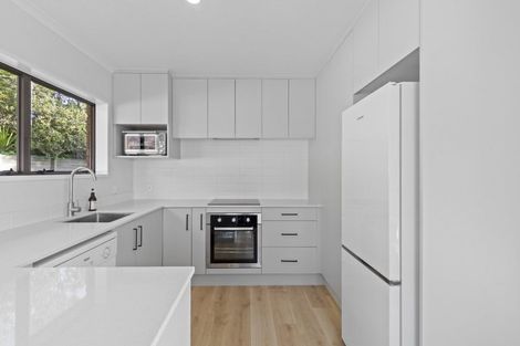 Photo of property in 45a Haultain Street, Fairfield, Hamilton, 3214