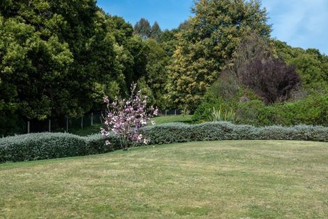 Photo of property in 16 Lacebark Drive, Kinloch, Taupo, 3377