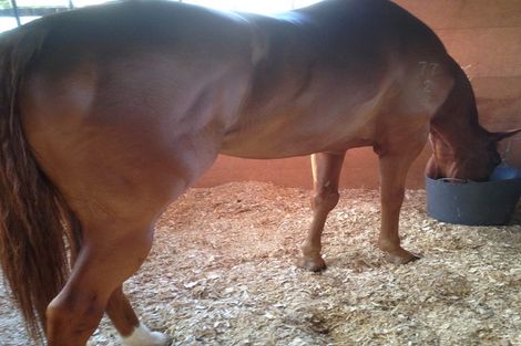 Photo of property in 123 Colville Road, Dargaville, 0377