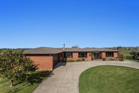 Photo of property in 97 East Bank Road, Edgecumbe, Whakatane, 3193