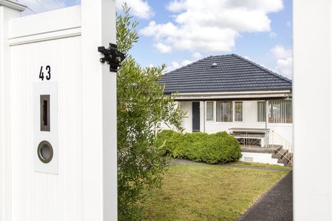 Photo of property in 43 Rogan Street, Mount Roskill, Auckland, 1041
