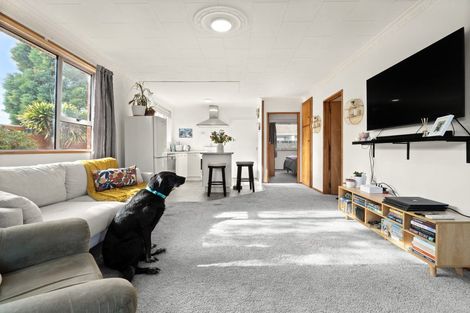 Photo of property in 28a Forfar Street, Mosgiel, 9024