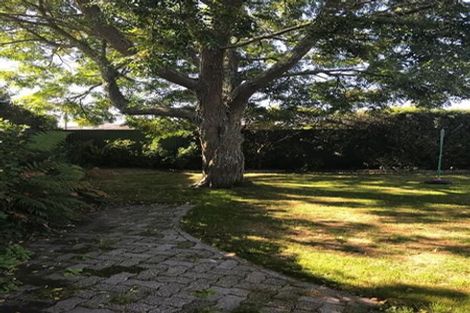 Photo of property in 47 James Cook Street, Havelock North, 4130