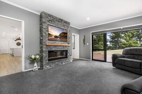 Photo of property in 321d Runciman Road, Ramarama, Pukekohe, 2677